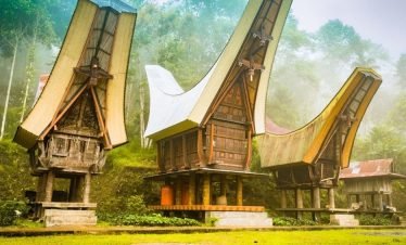 Local Experience in Toraja 7 Days / 6 Nights