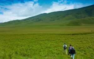 Best Places to Visit in Bromo Tengger Semeru National Park